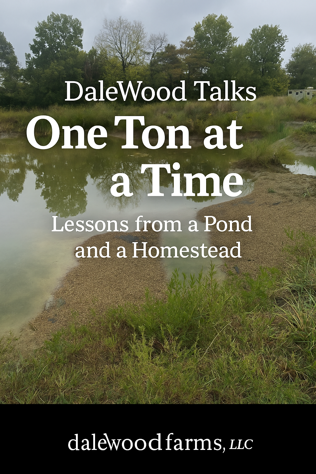 DaleWood Talks: One Ton at a Time